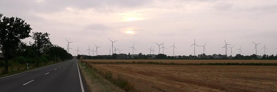 Las elektrowni wiatrowych - na trasie było ich tysiące