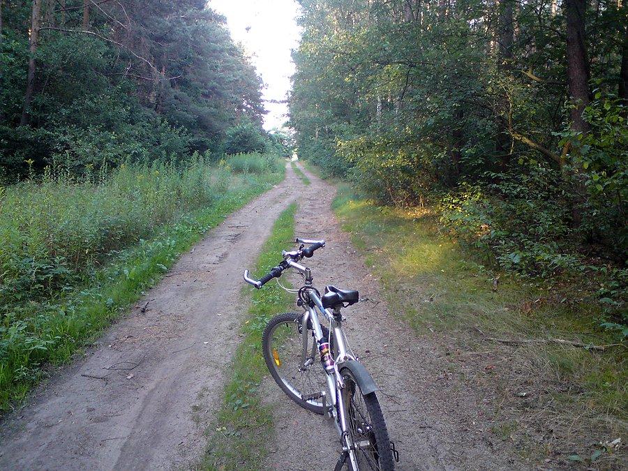 Karłowiczki - Bielice