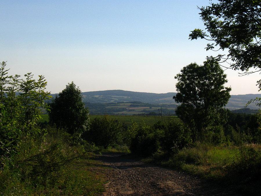 Widok na Wilcze ze zjazdu do Błażowej