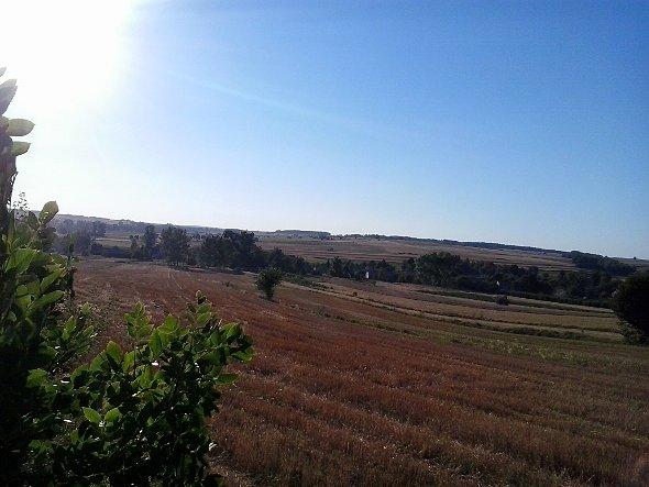Widok na pola na Tarnawkę