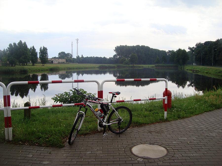 Dobrzyca i staw przy drodze