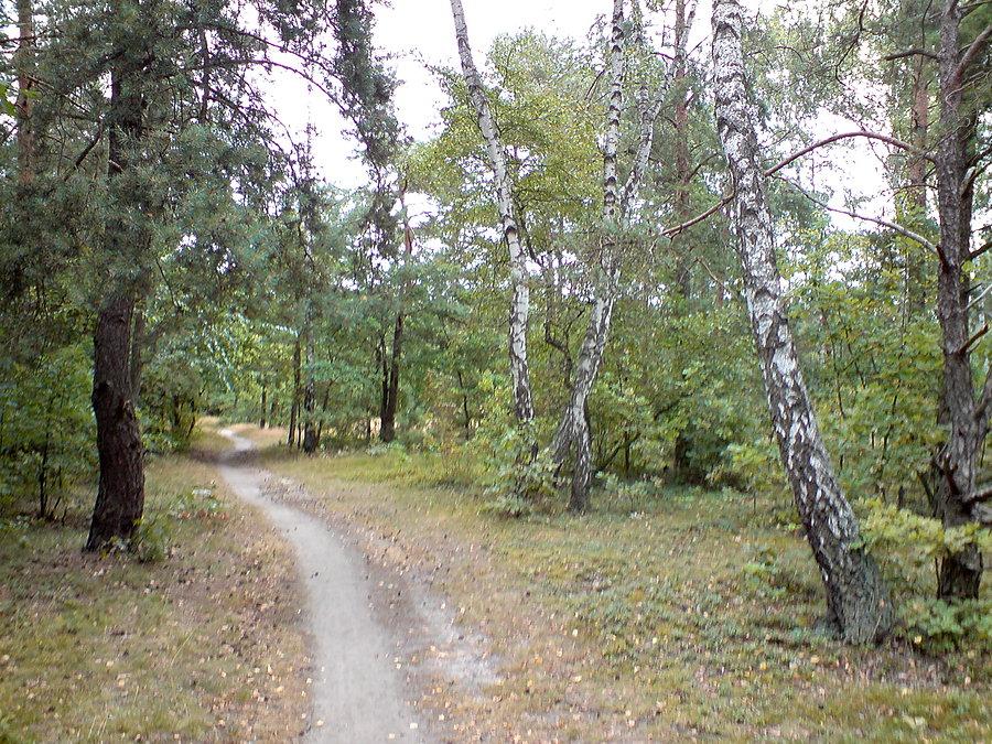 Łódź, Lublinek