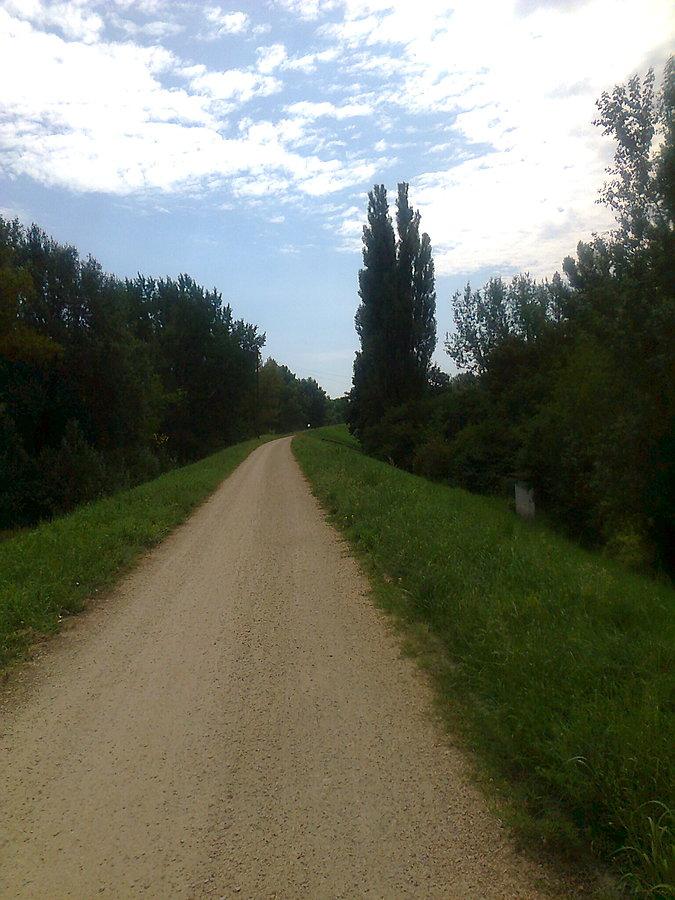 Droga rowerowa w kierunku Kępy Oborskiej