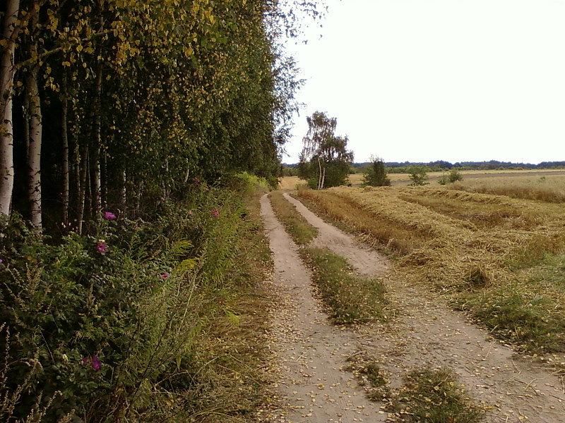Polna droga ma swój urok