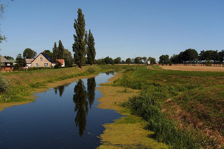 Krajobraz Żuław Gdańskich
