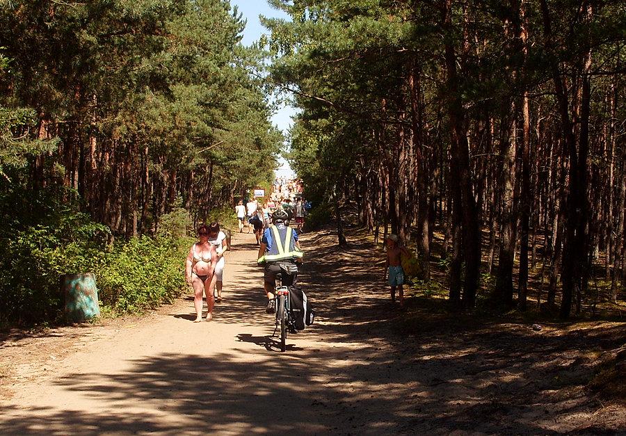 Droga na plażę w Sobieszewie