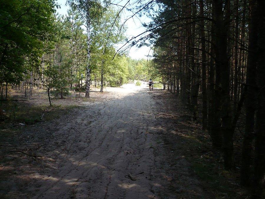 Plaża, czy piaskownica?