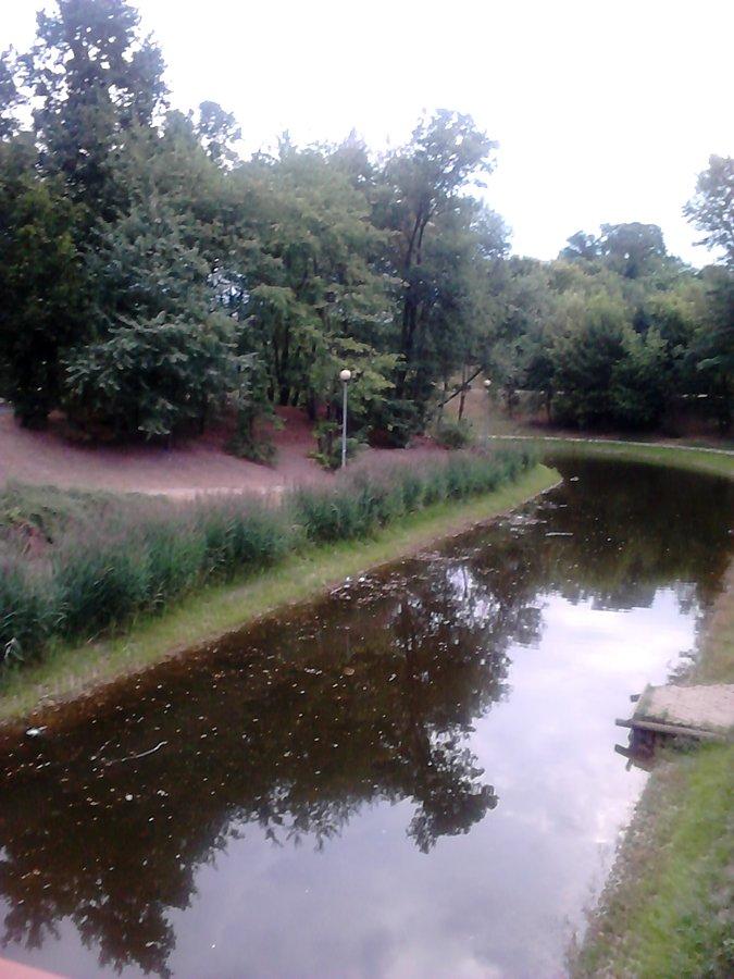 Fosa nie wyschła, a nawet przybrała