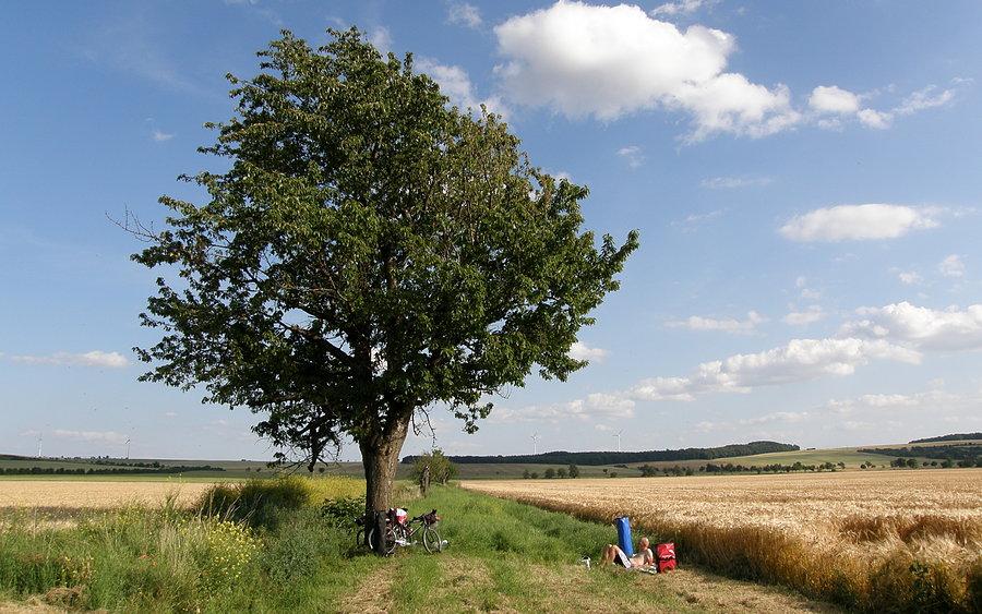 Późnopopołudniowa przerwa obiadowa w okazałym miejscu