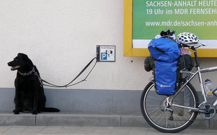 Postój przy sklepie. Nawet pieski mają swój parking :)