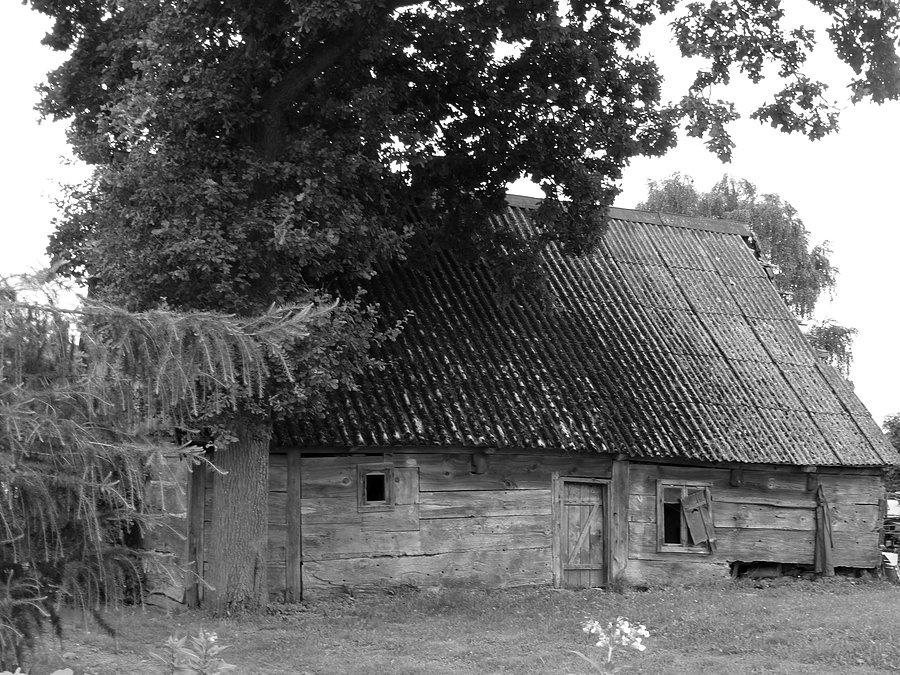 Bińcze