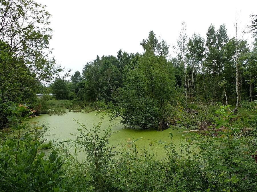 Zbysławiec