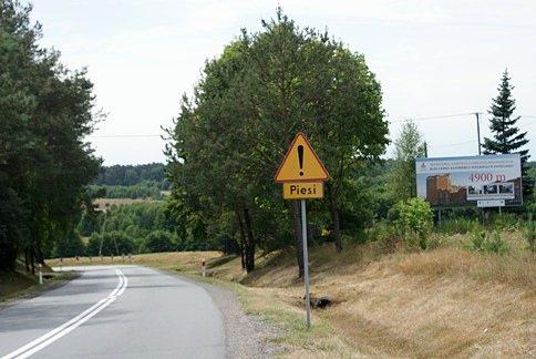 Z góry na pazury