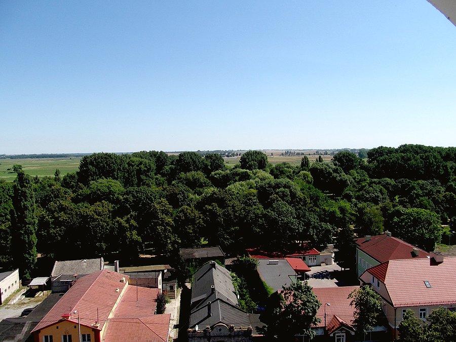 Przedpola Łęczycy - widok z baszty