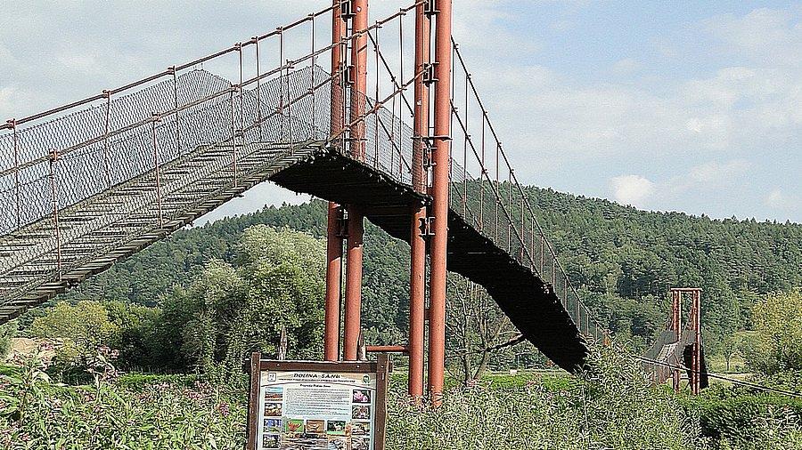Trochę to przypomina małpi gaj