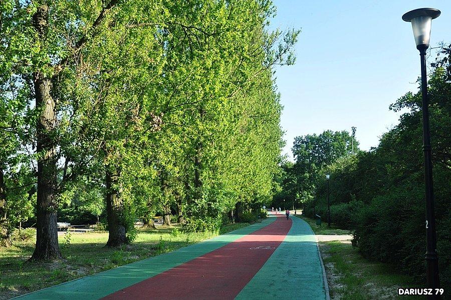 Park Śląski w Chorzowie