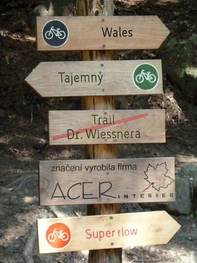 Dokąd dalej?