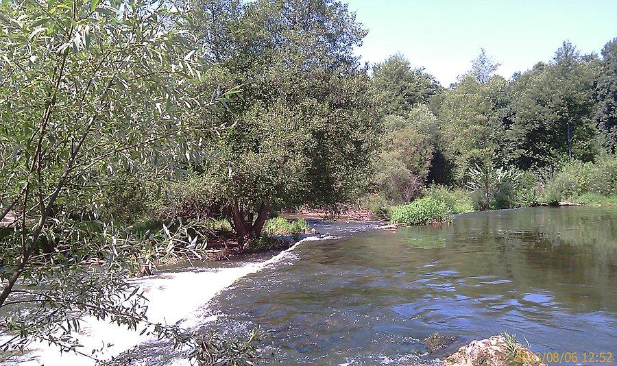 Naturalna tama na Warcie k/Działoszyzna