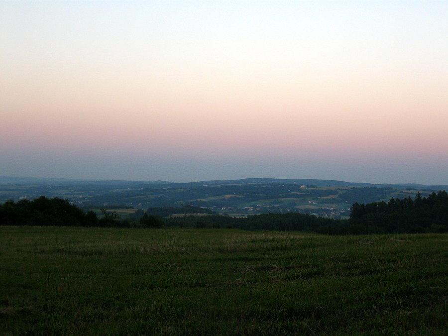 Przylasek na koniec dnia