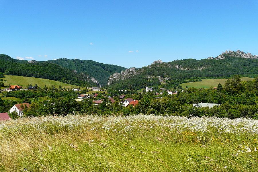 Sulov