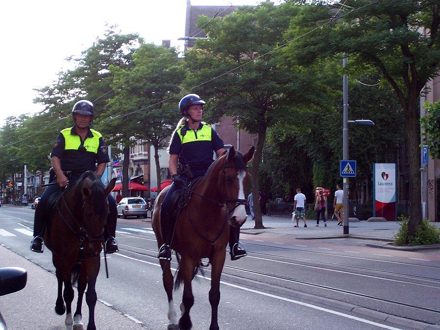 Policja konna