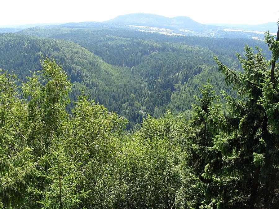 I mały widok z balkonu na leśne ostoje