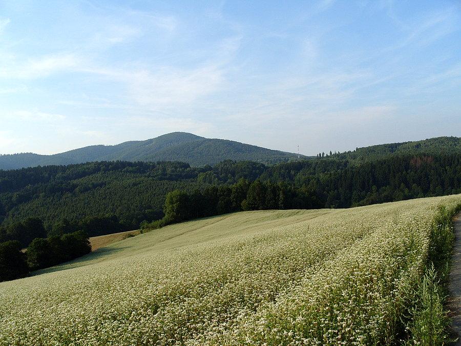 Po odzyskaniu maszyny;) jeszcze jedna fotka już na spokojnie z Koloni na przełęcz i Kłodzką Górę