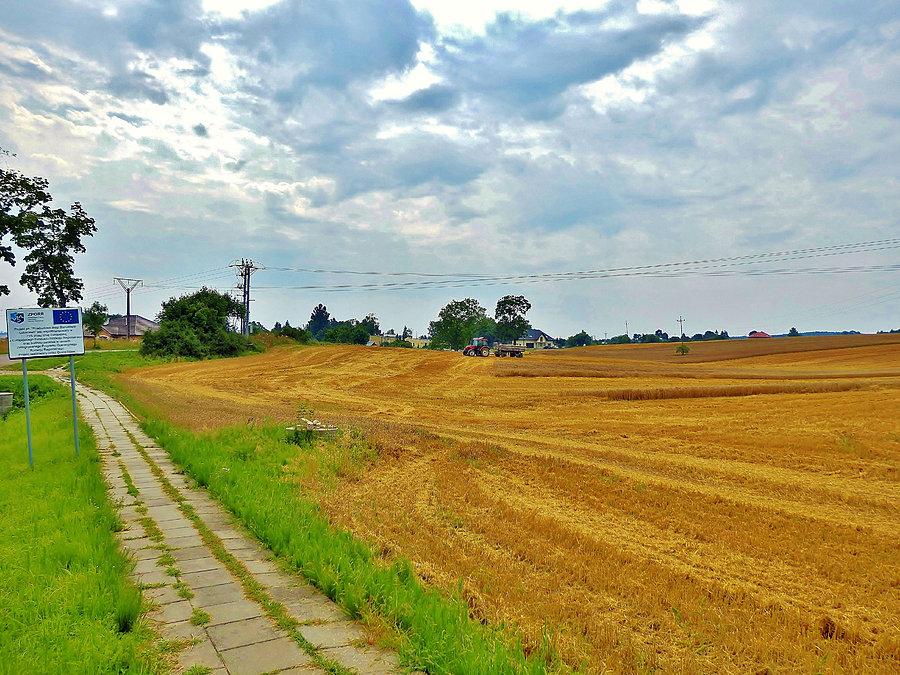 Na trasie wycieczki. Prace polowe