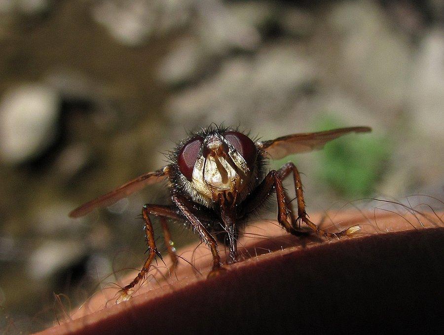 'porwę cię, kurwo, porwę!!!!!'