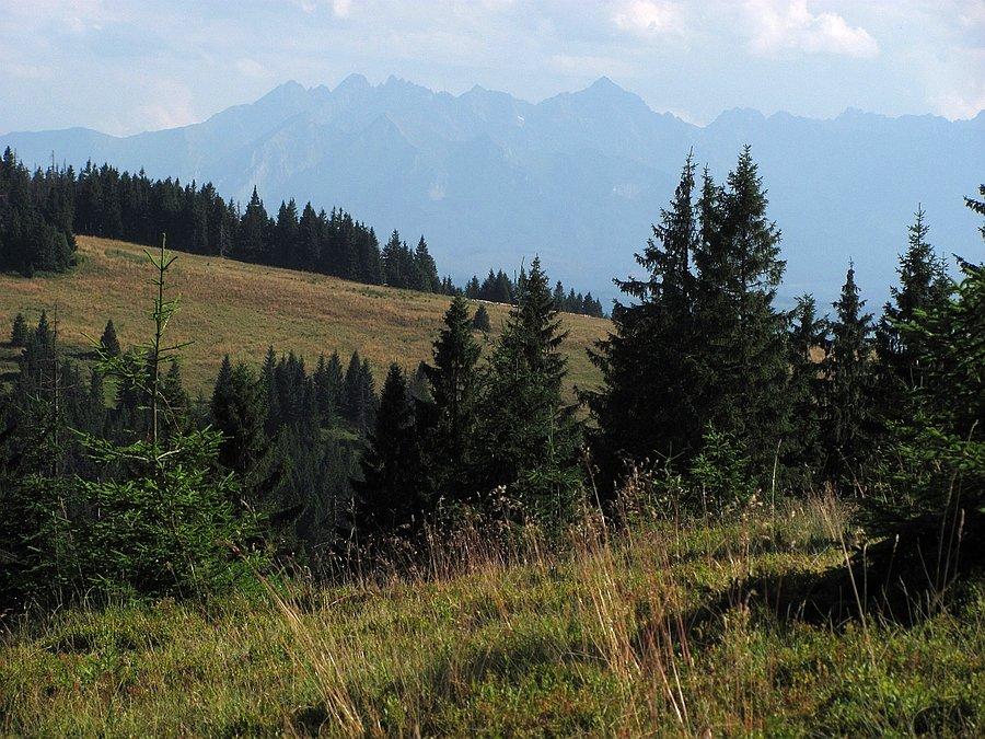 Hala Długa i Tatry w tle