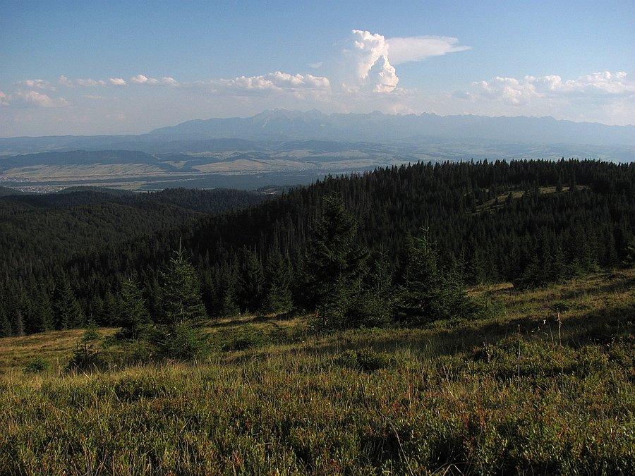 Zielenica i widoki