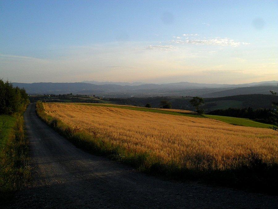 Genialne widoczki z szczytu na 39,72km, W tle Tatry, pasmo Radziejowej, dolina Dunajca