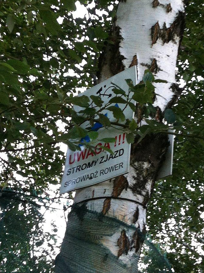 Downhill na ścieżkach rowerowych gminy Boguchwała ;)