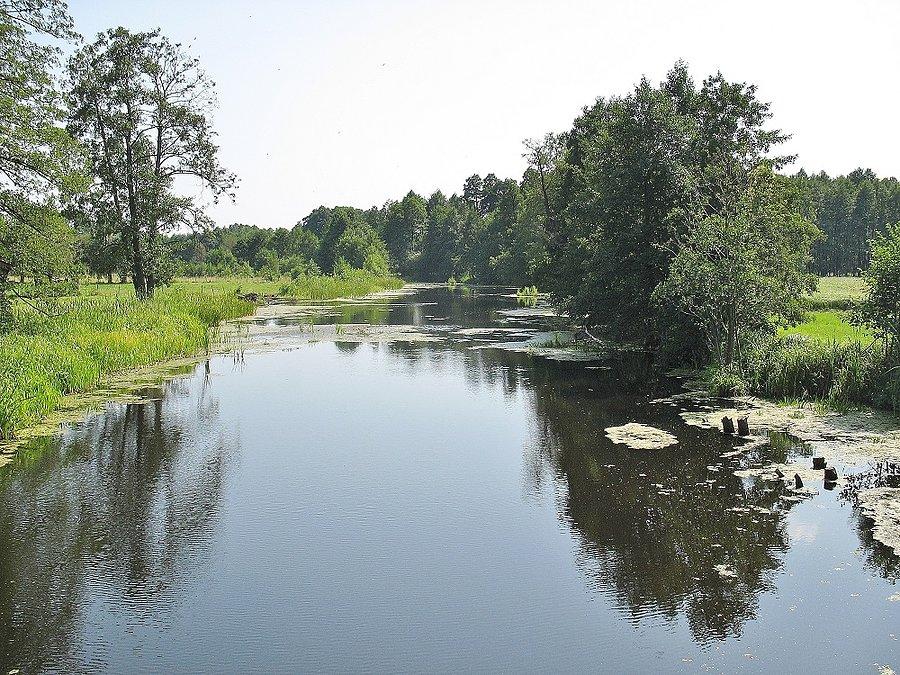 Starorzecze Bugu w Grądach