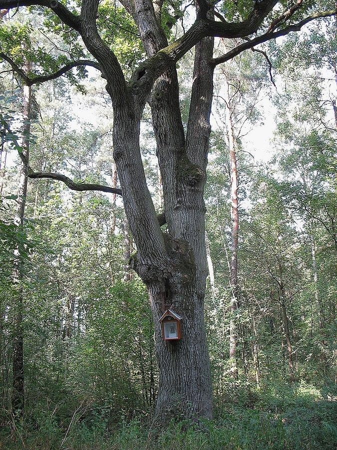 Kapliczka przy drodze do Nadkola