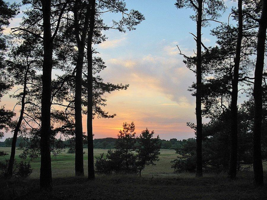 Łąki nad Liwcem