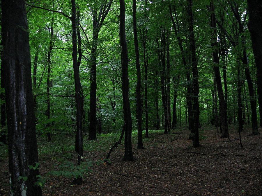 Łódź, Park na Zdrowiu