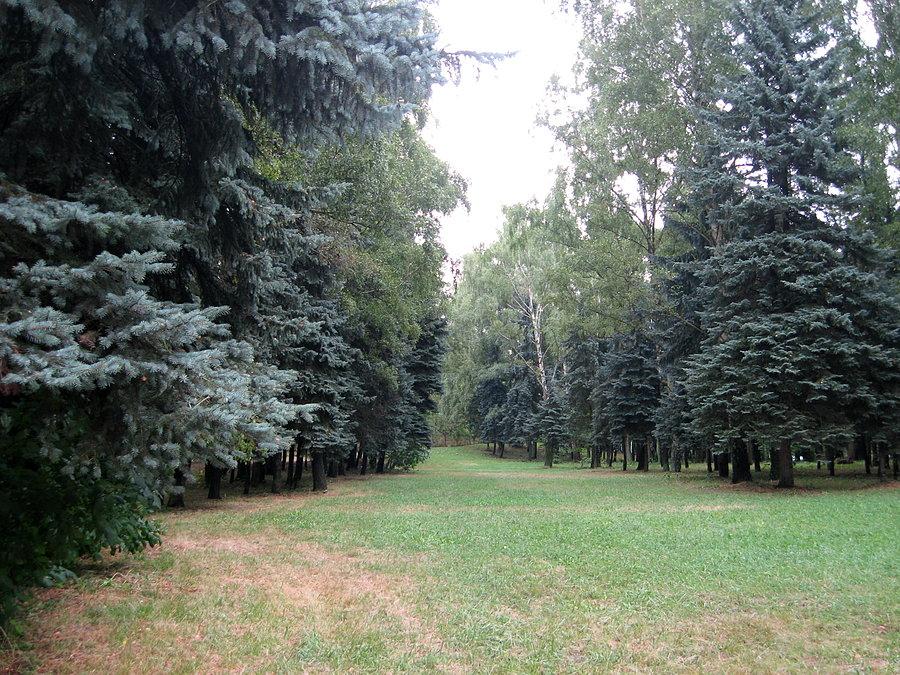 Łódź, park na Zdrowiu