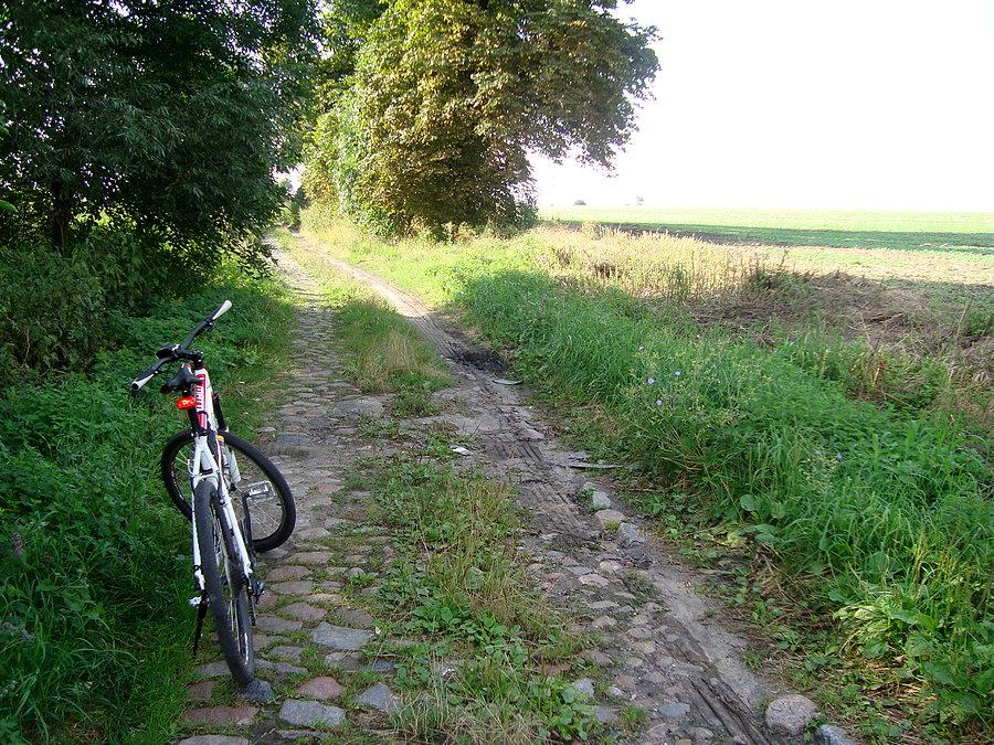 Chwila na przemyślenia, w którą teraz stronę