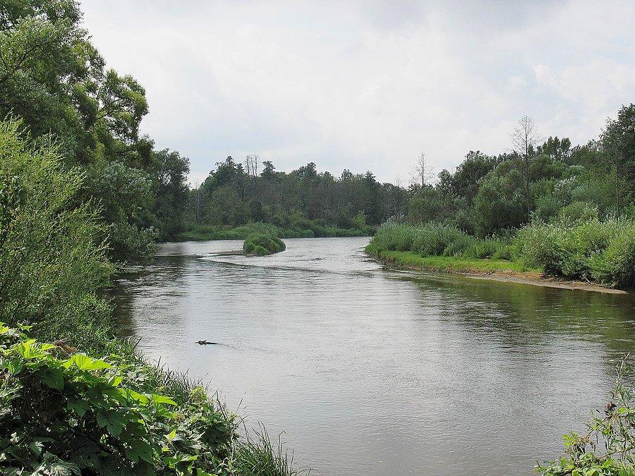 Liwiec w Nadkolu