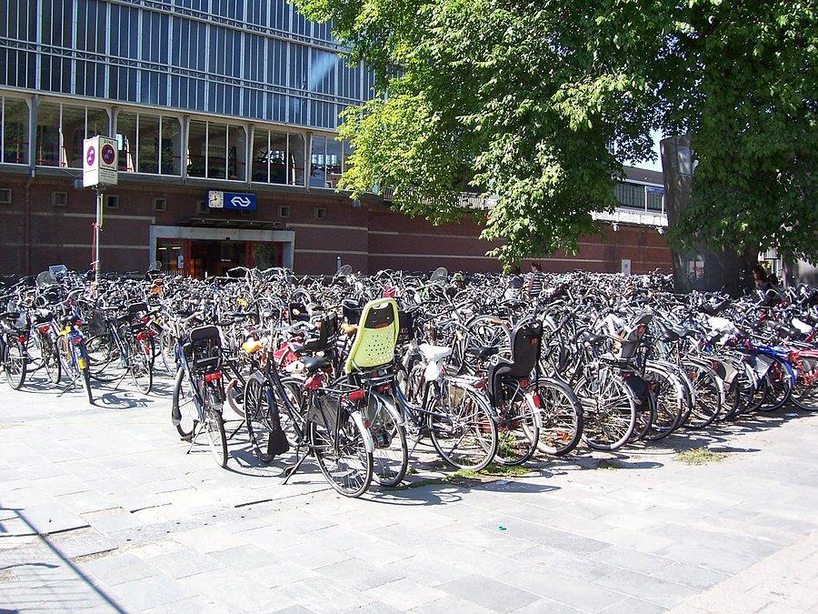 Parking dla rowerów