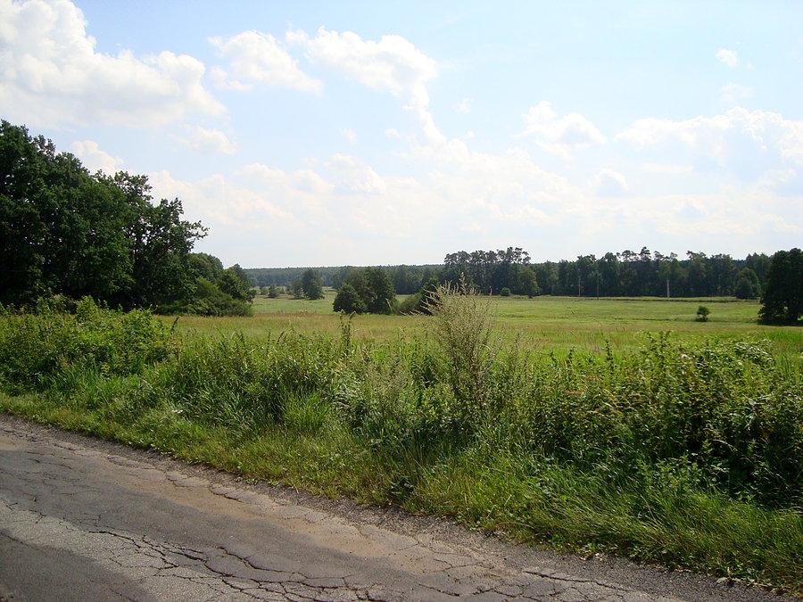 Ładne tereny gdzieś za Ostrowem