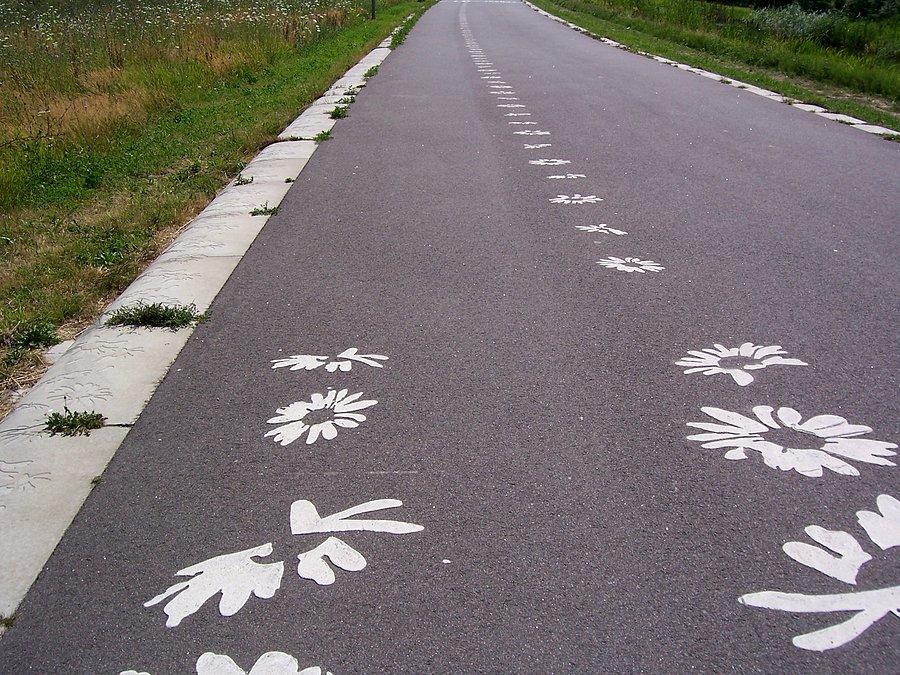 Kwiatowa ścieżka rowerowa