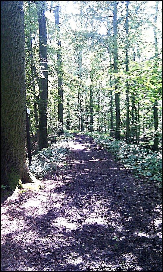 Storbrawski Park Krajobrazowy