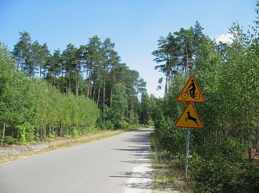 Mój ulubiony zestaw znaków drogowych