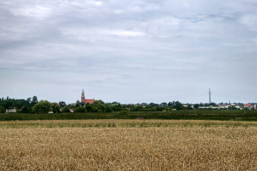 Widok na Żnin z drogi do Rydlewa