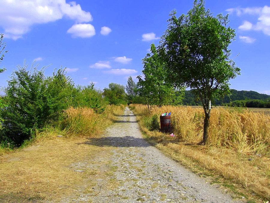 Wzdłuż jeziora idę pieszo, szkoda mi opon na taką nawierzchnie