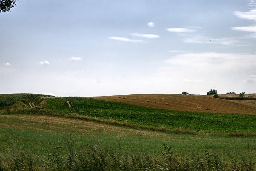 Pałuckie krajobrazy