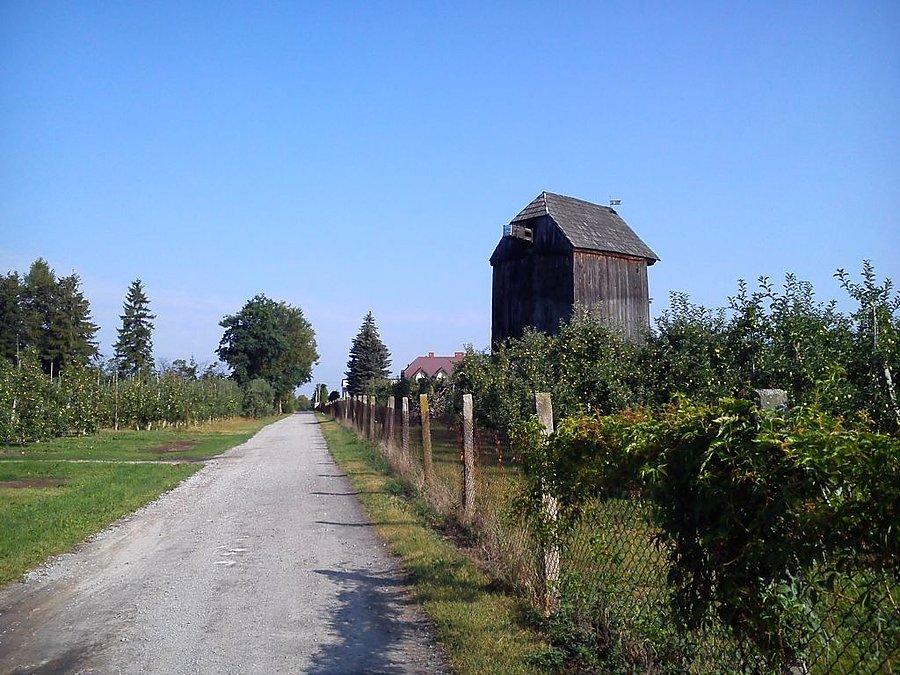 Wiatrak w Lininie