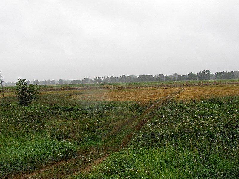 Nadwarciański Szlak Rowerowy